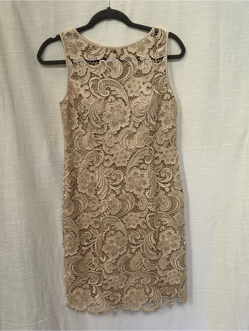 Adrianna Papell Evening Sleeveless Lace Sheath‎ Dress in Beige